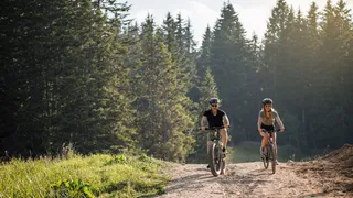A couple driving together in the forest