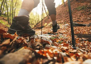 Nahaufnahme auf einen Wanderer mit Laub auf dem Weg