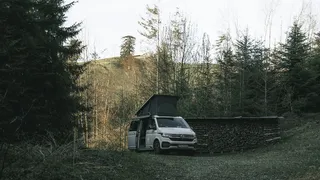 VW T6.1 in a forest