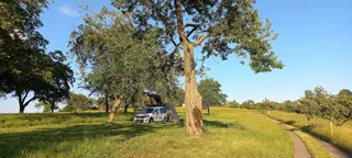 Campervan on sprout meadow