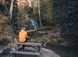A man sits on a picnic bench and looks at a waterfall.