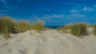Düne und Meer in Zeeland in Holland