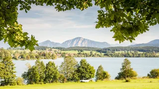 View through leaves on the beautiful Riegsee in the district Garmisch Partenkirchen with the mountains and some houses in the background