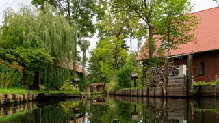 Haeuser on the banks of the Spree in the Spreewald, surrounded by Baeumen