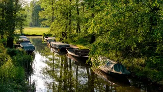 Campingplaetze Spreewald: Ships in the evening sun in the Spreewald