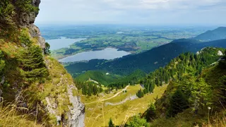 Alps