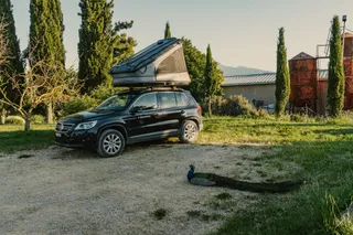 Natural campsite "Camp Podere Il Casale" in Tuscany