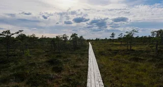 The Soomaa National Park in Estonia. All information about Estonia Camping here in the article.