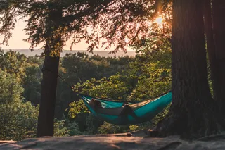 hammock in idyllic setting
