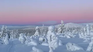 Snow wonders in Sweden