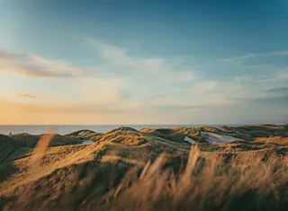 Dünenlandschaft in Dänemark